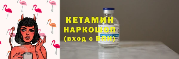 прущие грибы Тосно