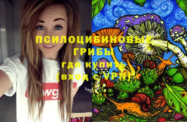 прущий лед Алексеевка