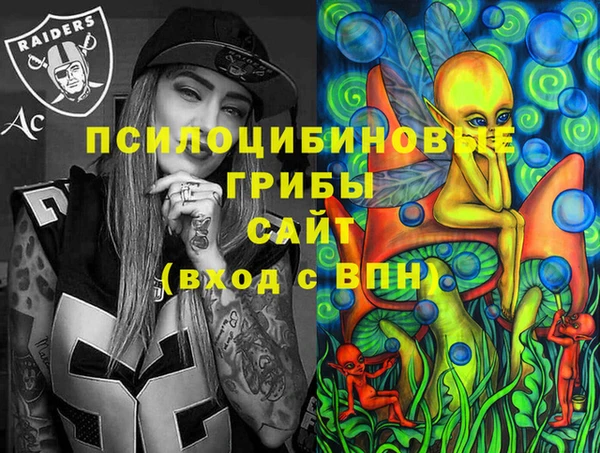 твердый Алексин