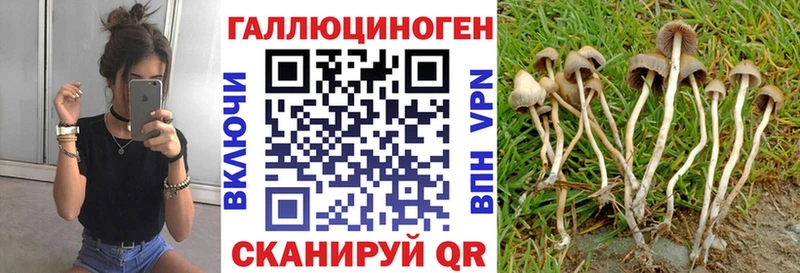 Галлюциногенные грибы ЛСД  omg рабочий сайт  Хадыженск  хочу  